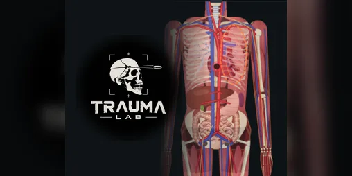 Trauma Lab Bug Report: Fixes and Reporting Checklist